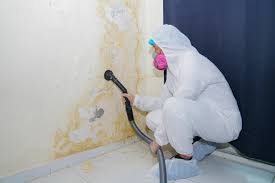 Best Post-Construction Mold Inspection  in Jones Valley, CA